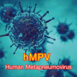 Human Metapneumovirus (HMPV): Symptoms, Risks, and Prevention