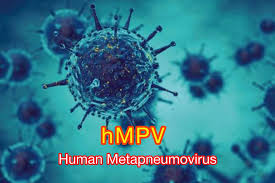 Human Metapneumovirus (HMPV): Symptoms, Risks, and Prevention