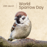 World Sparrow Day: A Call to Conserve Nature’s Tiny Messengers