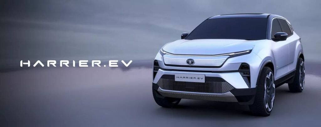 will tata dominate in ev's