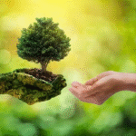 India's 2025 environmental policy initiatives promoting sustainability and green growth