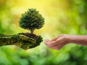 India's 2025 environmental policy initiatives promoting sustainability and green growth