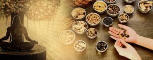 Apollo AyurVAID launches India’s first ‘Tested Safe’ Ayurveda products